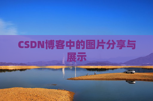 CSDN博客中的图片分享与展示